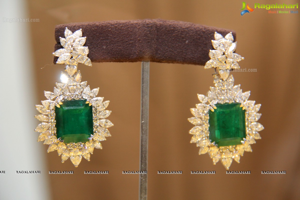 Project Blossoming' Jewellery Collection, Hyderabad