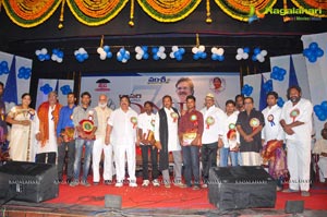 Vamsi International Awards