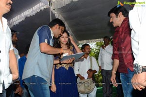 Balakrishna Dictator Muhurat