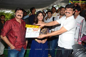 Balakrishna Dictator Muhurat