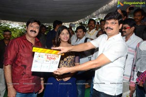 Balakrishna Dictator Muhurat