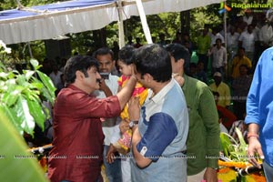 Balakrishna Dictator Muhurat