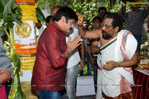 Balakrishna Dictator Muhurat