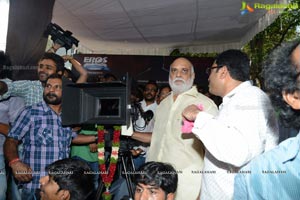 Balakrishna Dictator Muhurat