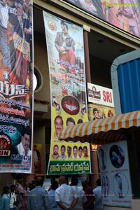 Lion Telugu Cinema