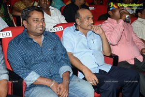 Rakshasudu Audio Release