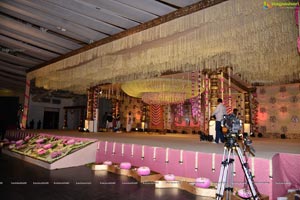 Allari Naresh Wedding