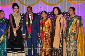 Harinath Krishnaveni Wedding Reception