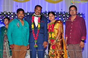 Harinath Krishnaveni Wedding Reception