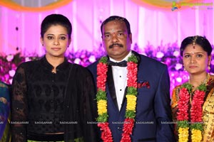 Harinath Krishnaveni Wedding Reception