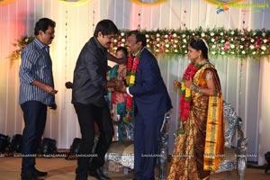 Harinath Krishnaveni Wedding Reception