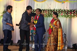 Harinath Krishnaveni Wedding Reception