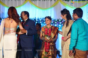 Harinath Krishnaveni Wedding Reception