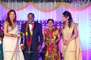 Harinath Krishnaveni Wedding Reception