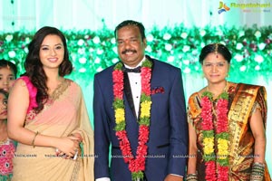 Harinath Krishnaveni Wedding Reception