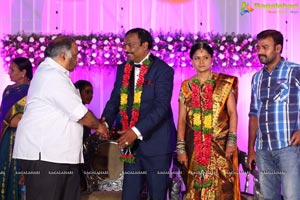 Harinath Krishnaveni Wedding Reception