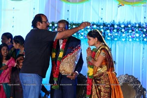 Harinath Krishnaveni Wedding Reception