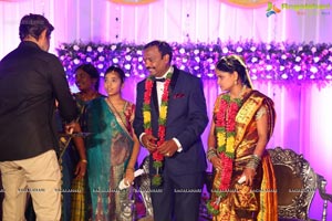 Harinath Krishnaveni Wedding Reception