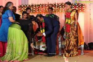 Harinath Krishnaveni Wedding Reception