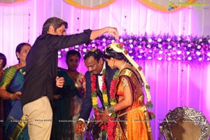 Harinath Krishnaveni Wedding Reception