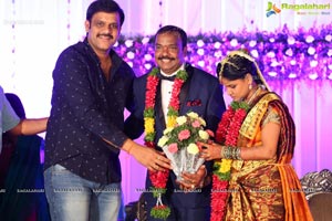 Harinath Krishnaveni Wedding Reception