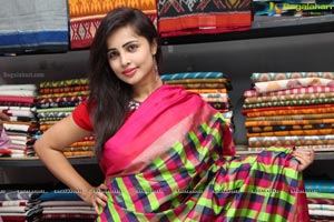 Pochampally IKAT art Mela-2015