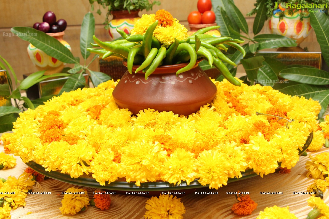 Telangana Food Festival at Hotel Novotel Hyderabad Convention Centre