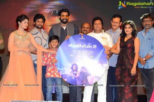 Gentleman Music Launch Photos