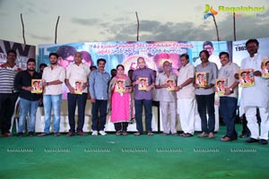 Superstar Krishna Birthday Celebrations