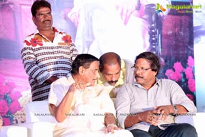 Superstar Krishna Birthday Celebrations