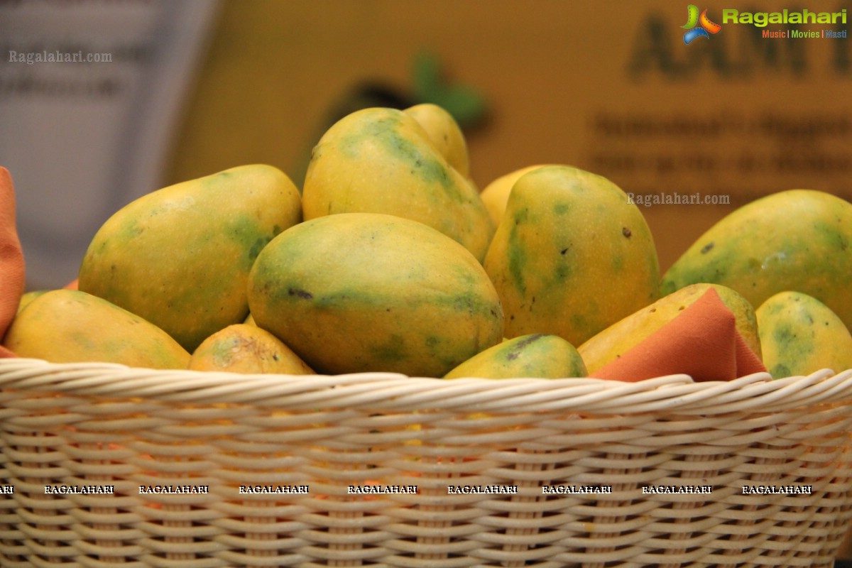 Golkonda Mango Food Festival 2016