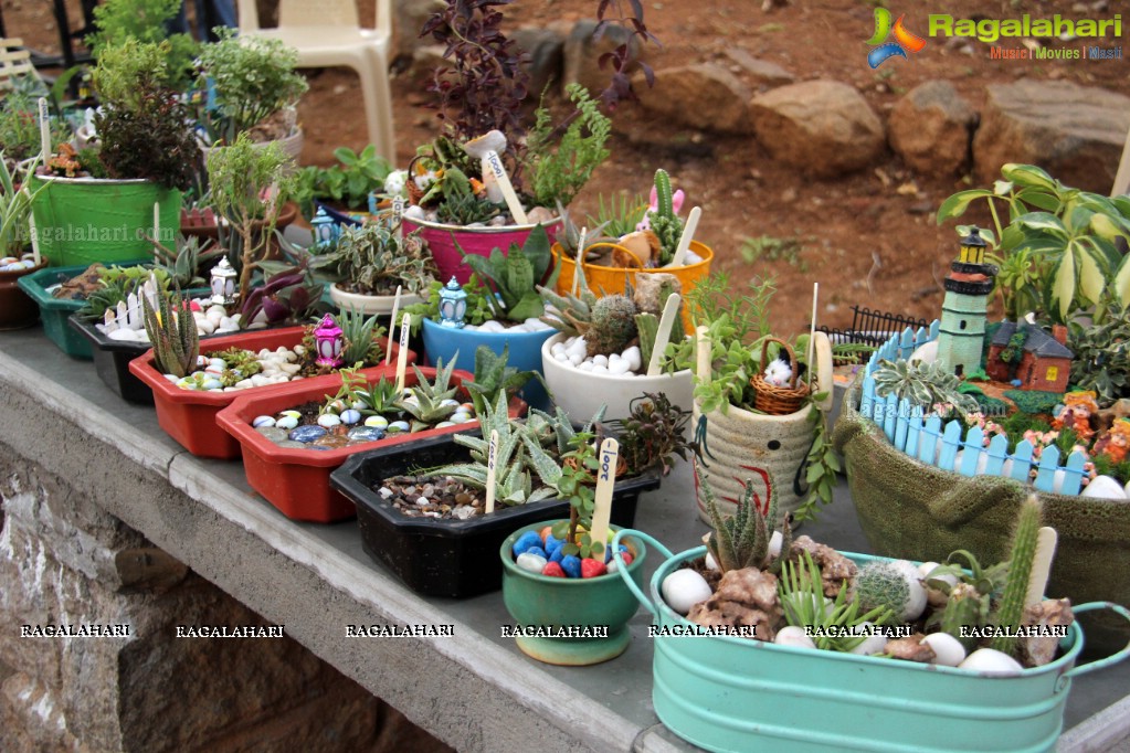 Free Distribution of Plants, Exhibition cum Sale Of Miniature Gardens at Birla Planetarium Hyderabad