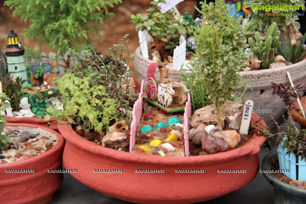 Free Distribution of Plants, Exhibition cum Sale Of Miniature Gardens at Birla Planetarium Hyderabad