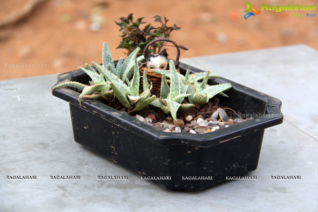 Free Distribution of Plants, Exhibition cum Sale Of Miniature Gardens at Birla Planetarium Hyderabad