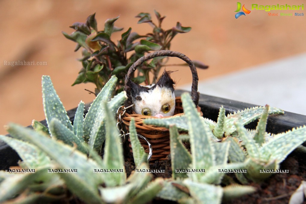 Free Distribution of Plants, Exhibition cum Sale Of Miniature Gardens at Birla Planetarium Hyderabad