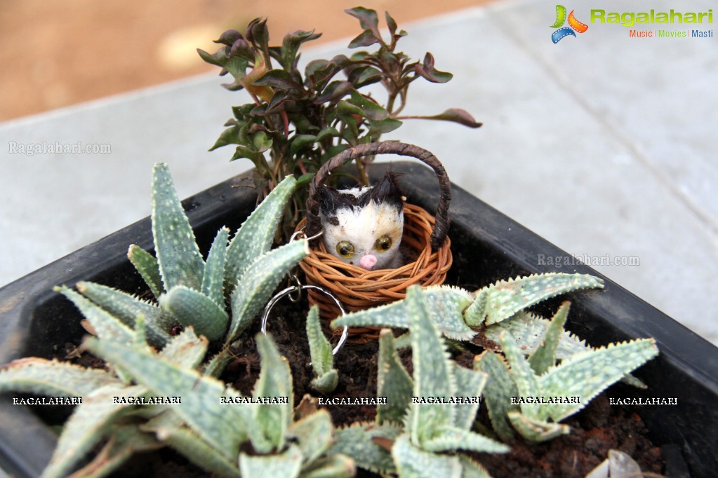 Free Distribution of Plants, Exhibition cum Sale Of Miniature Gardens at Birla Planetarium Hyderabad