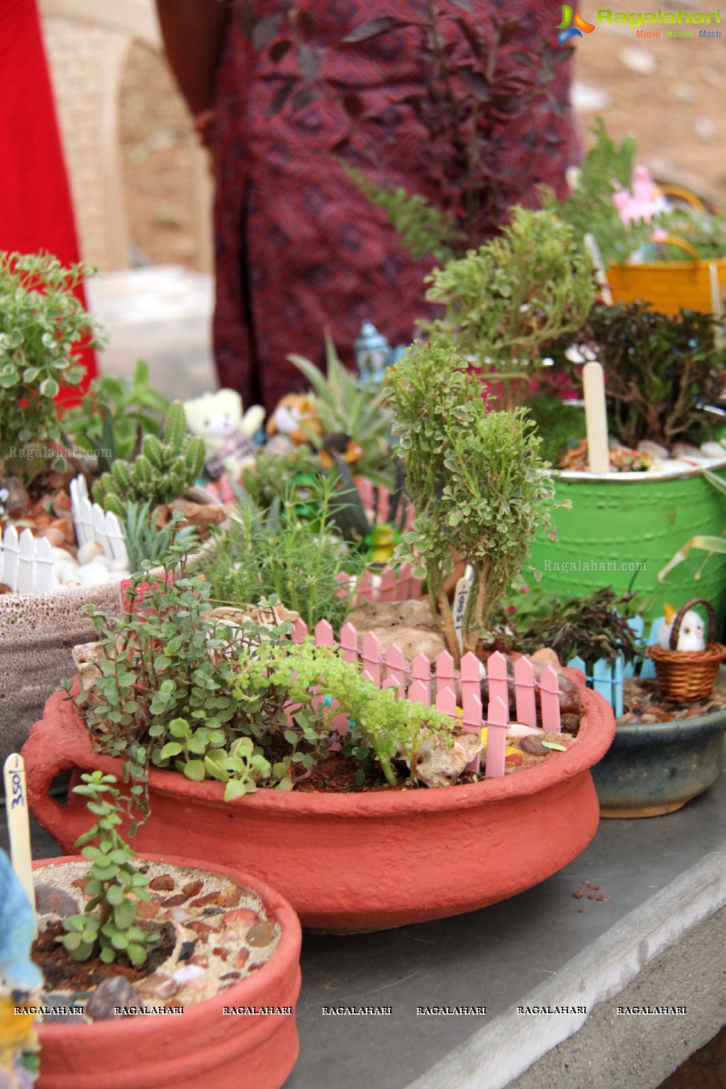 Free Distribution of Plants, Exhibition cum Sale Of Miniature Gardens at Birla Planetarium Hyderabad