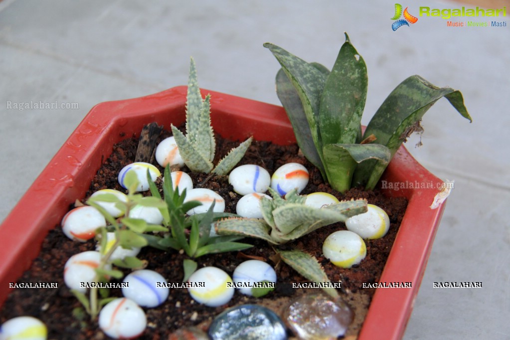 Free Distribution of Plants, Exhibition cum Sale Of Miniature Gardens at Birla Planetarium Hyderabad