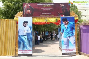 NTR Birthday Celebrations