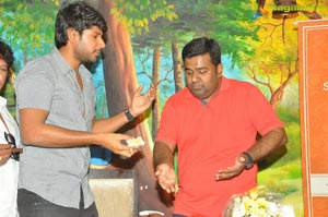 Sundeep Kishan Birthday Function