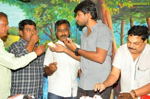 Sundeep Kishan Birthday Function