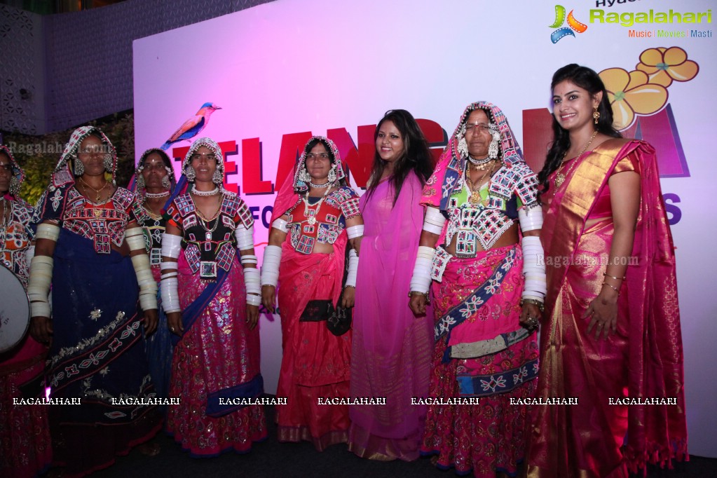 Telangana State Formation Day Celebrations 2017 at The Park, Hyderabad