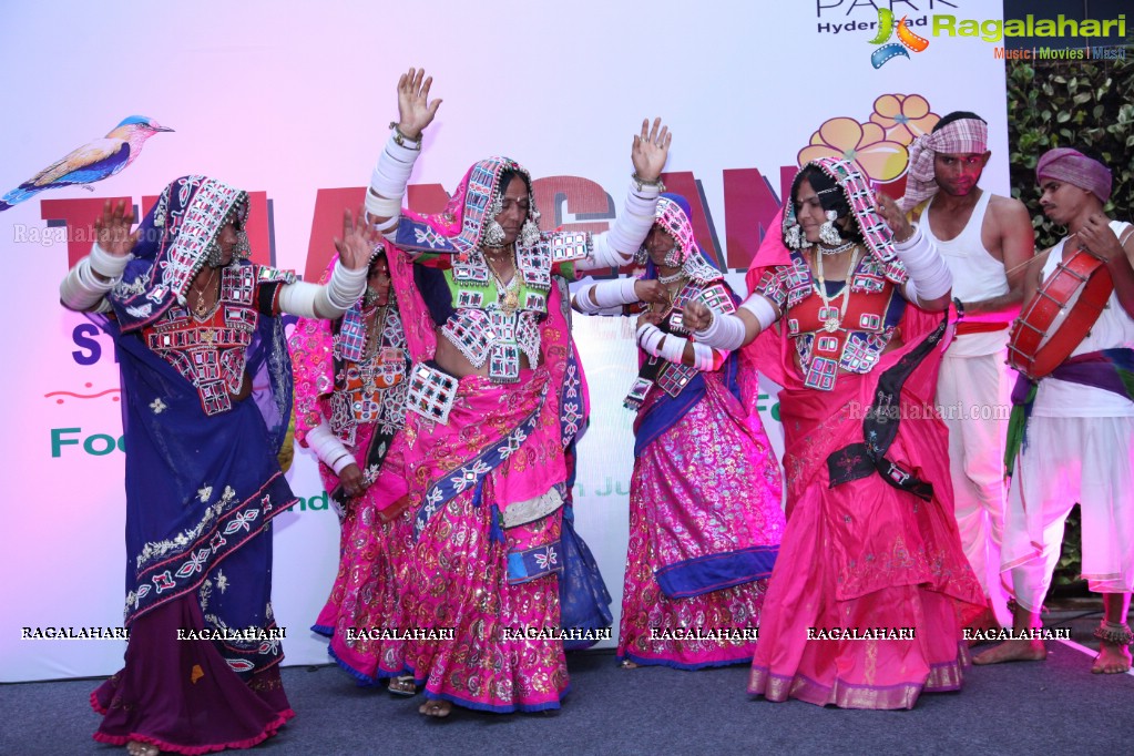 Telangana State Formation Day Celebrations 2017 at The Park, Hyderabad