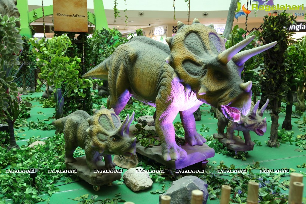 A Creative CSR Initiative for Orphan & Destitute Kids at Dino Park, Forum Sujana Mall, Hyderabad