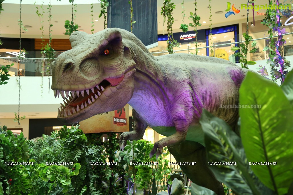 A Creative CSR Initiative for Orphan & Destitute Kids at Dino Park, Forum Sujana Mall, Hyderabad