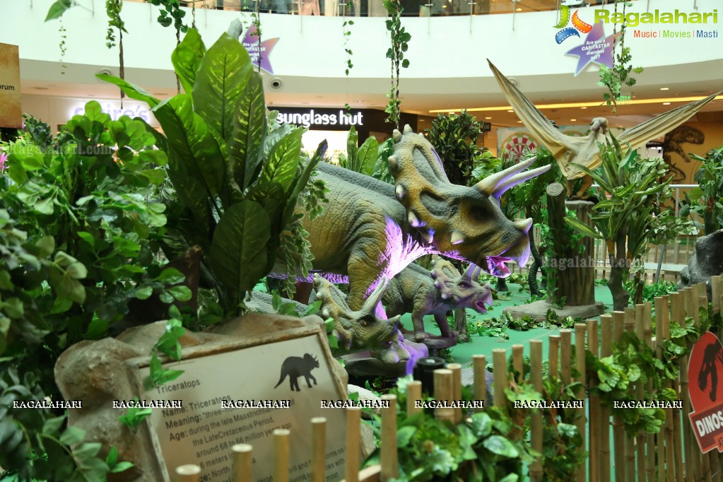 A Creative CSR Initiative for Orphan & Destitute Kids at Dino Park, Forum Sujana Mall, Hyderabad