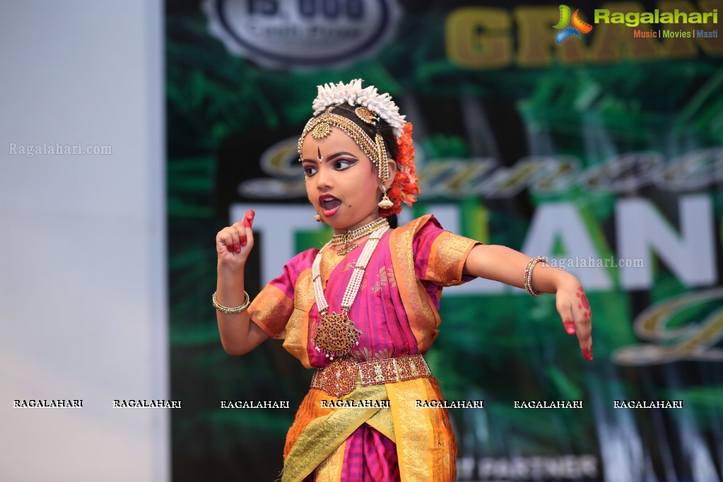 Dance Telangana Dance 2017 Grand Finale at Birla Science Museum Auditorium