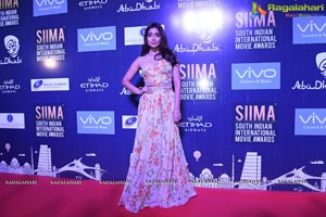 SIIMA Dubai Press Meet