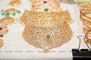 The South Indian Bride Exhibition