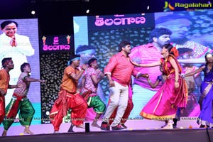 Telangana State Formation Day Celebrations